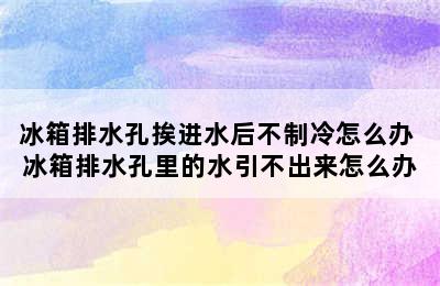 冰箱排水孔挨进水后不制冷怎么办 冰箱排水孔里的水引不出来怎么办